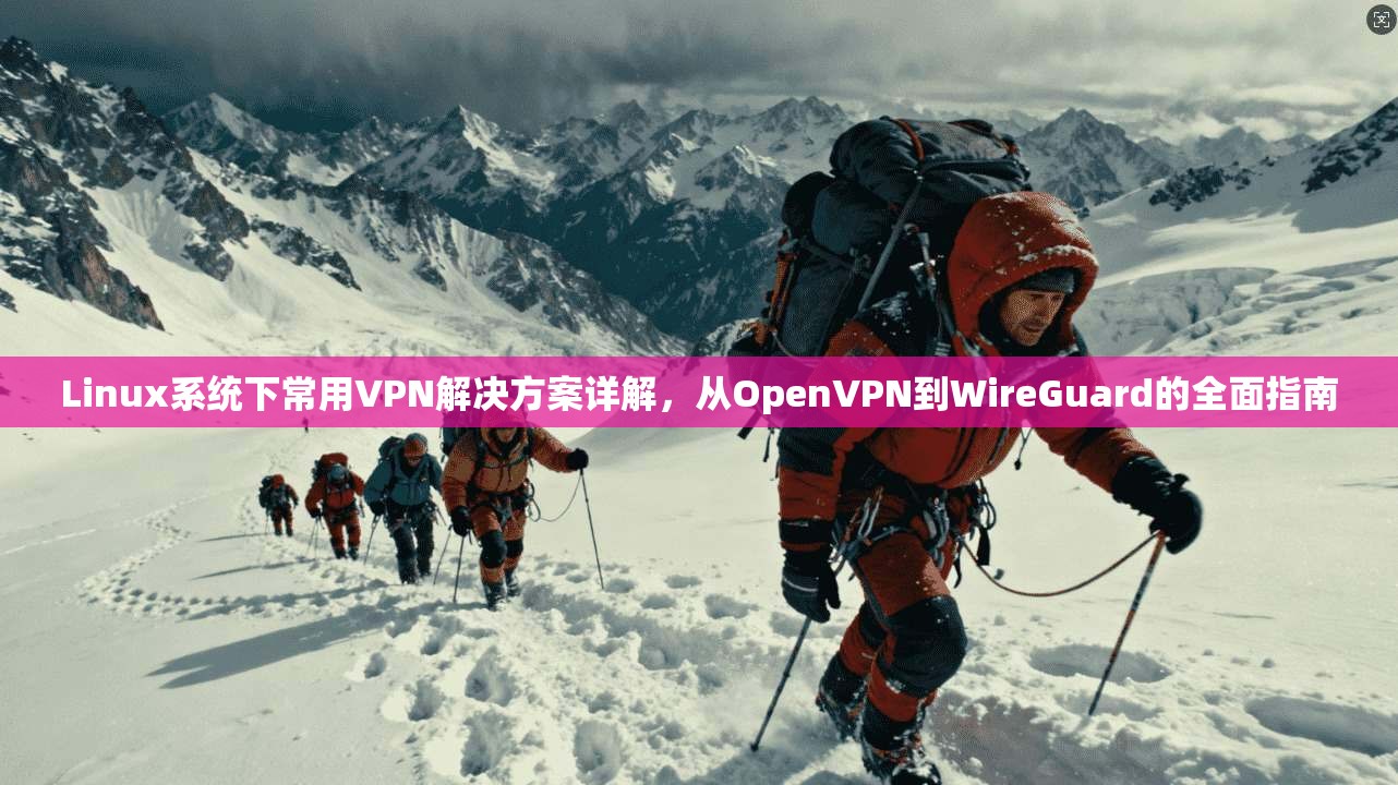 Linux系统下常用VPN解决方案详解，从OpenVPN到WireGuard的全面指南