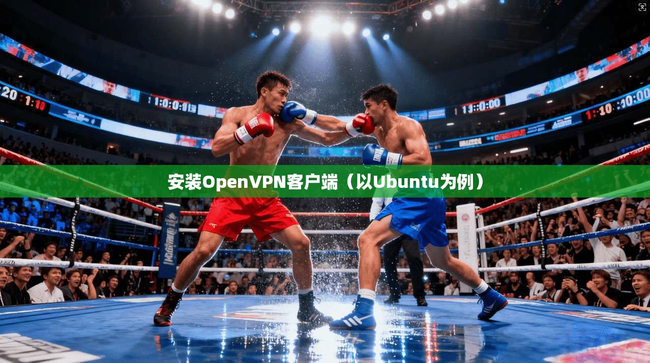 安装OpenVPN客户端（以Ubuntu为例）