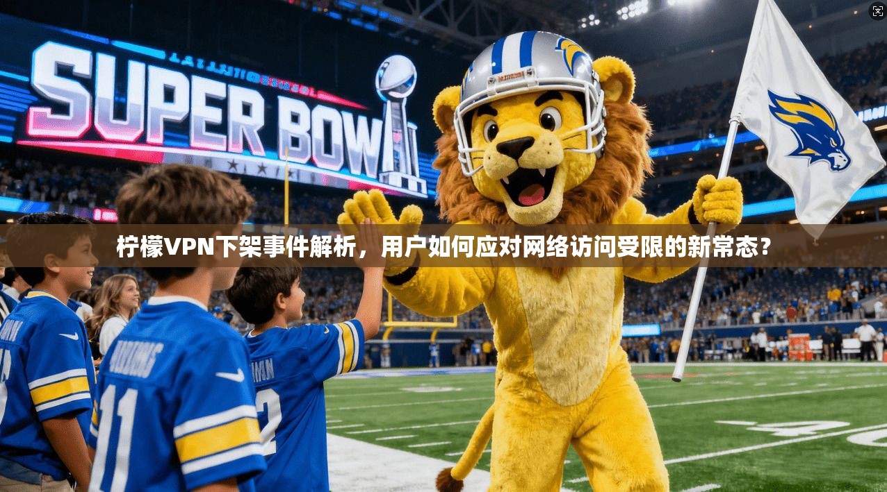 柠檬VPN下架事件解析，用户如何应对网络访问受限的新常态？