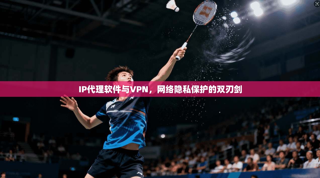 IP代理软件与VPN，网络隐私保护的双刃剑