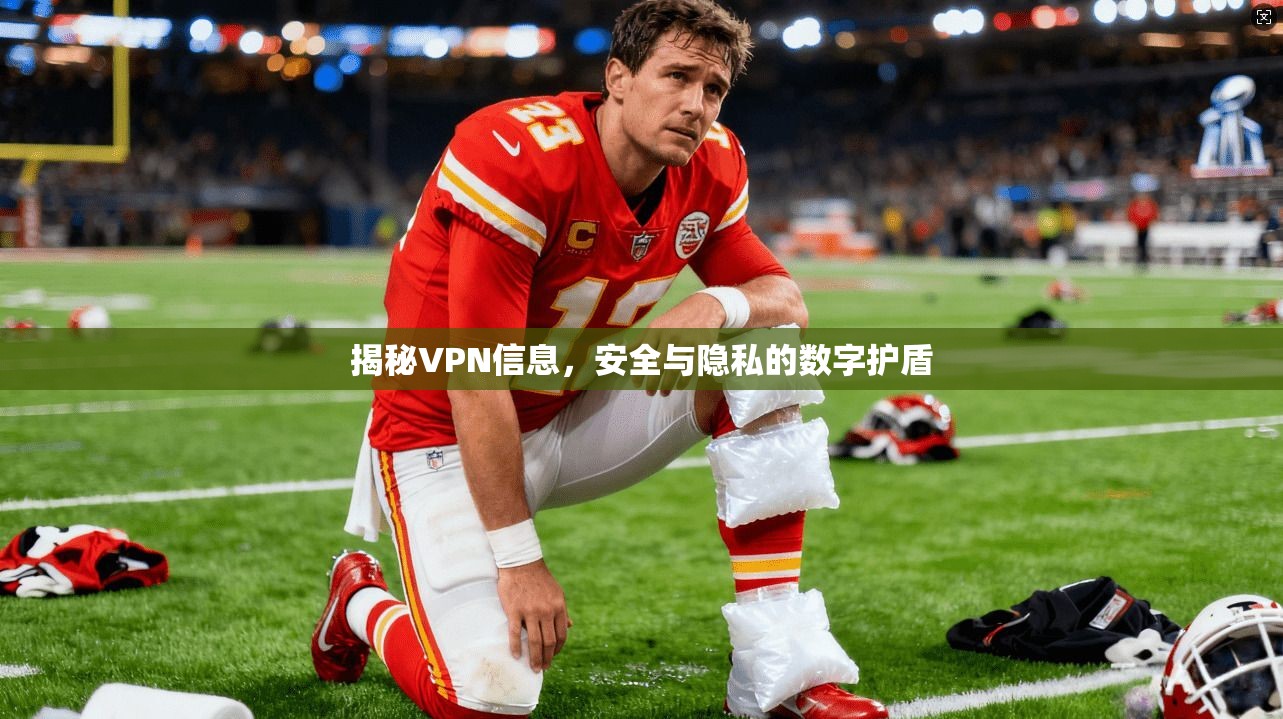 揭秘VPN信息，安全与隐私的数字护盾