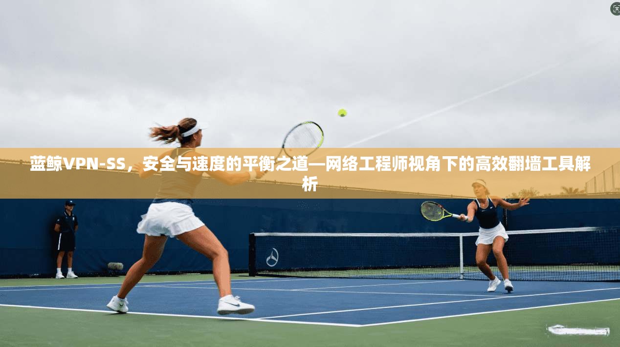 蓝鲸VPN-SS，安全与速度的平衡之道—网络工程师视角下的高效翻墙工具解析