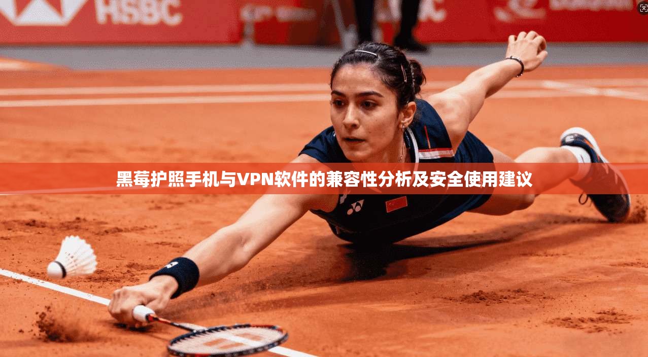 黑莓护照手机与VPN软件的兼容性分析及安全使用建议