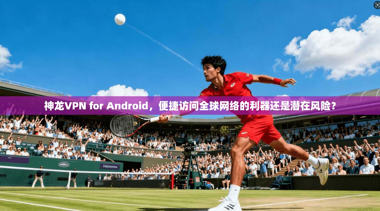 神龙VPN for Android，便捷访问全球网络的利器还是潜在风险？
