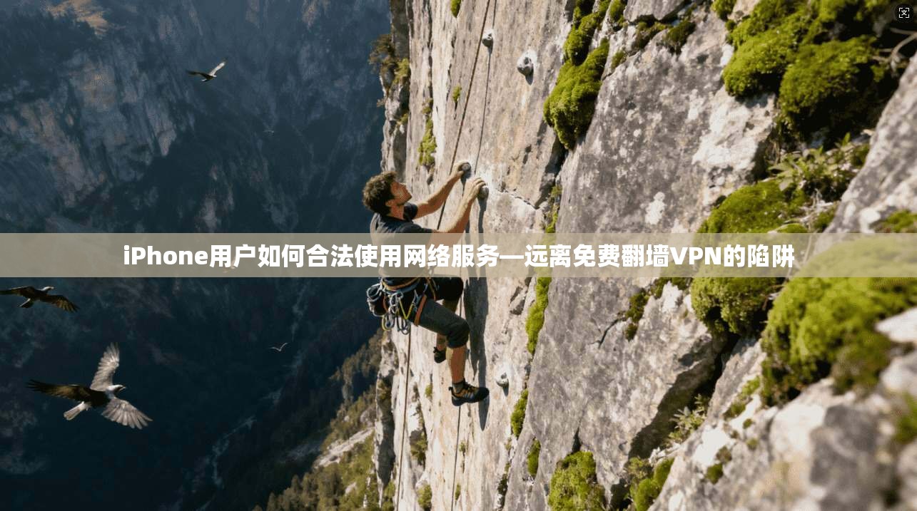 iPhone用户如何合法使用网络服务—远离免费翻墙VPN的陷阱