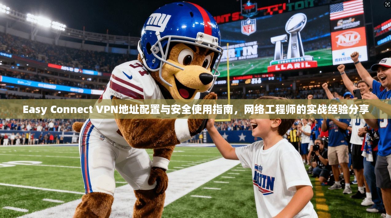 Easy Connect VPN地址配置与安全使用指南，网络工程师的实战经验分享