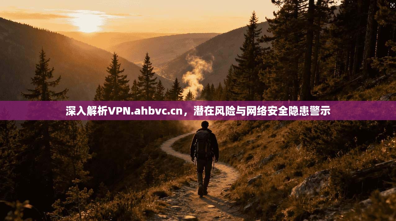 深入解析VPN.ahbvc.cn，潜在风险与网络安全隐患警示