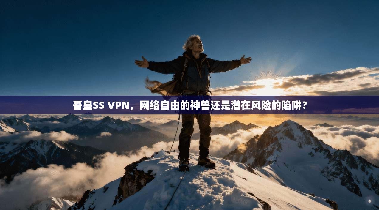 吾皇SS VPN，网络自由的神兽还是潜在风险的陷阱？