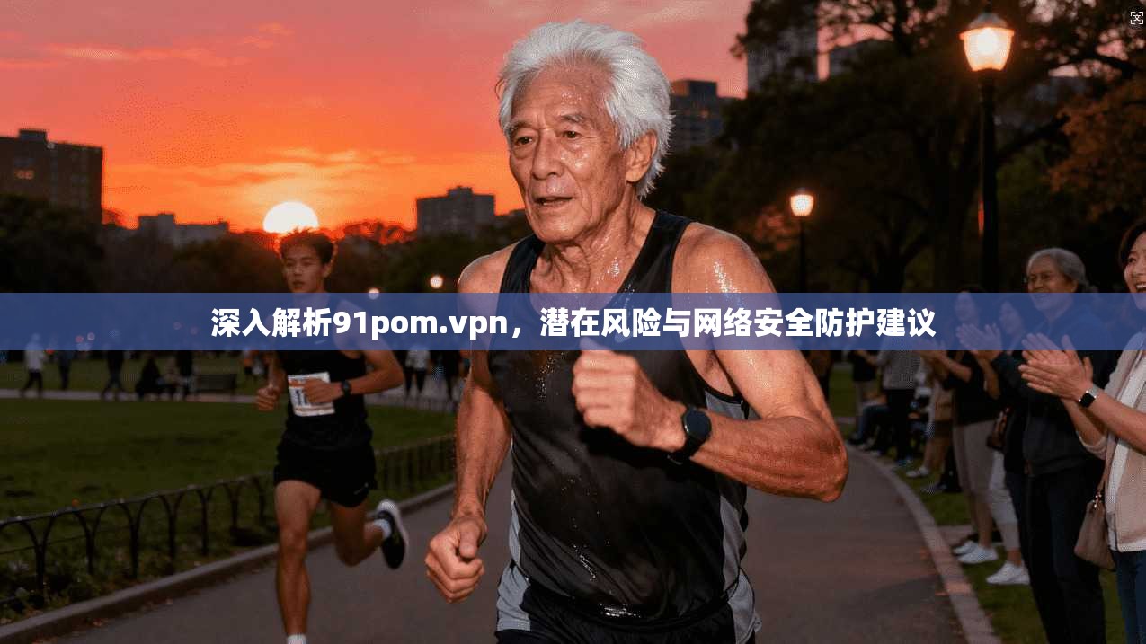 深入解析91pom.vpn，潜在风险与网络安全防护建议