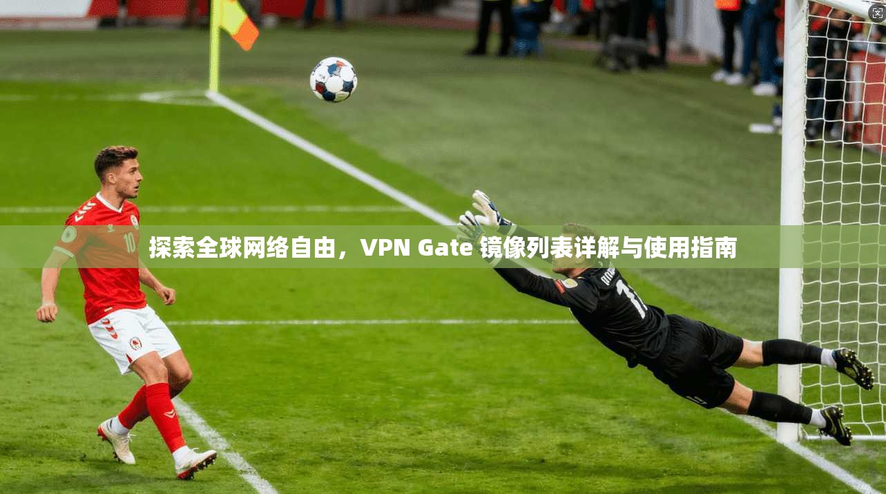 探索全球网络自由,VPN Gate 镜像列表详解与使用指南