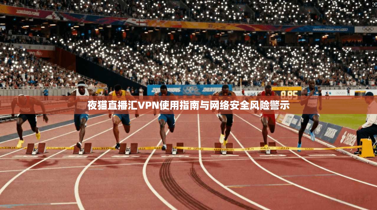 夜猫直播汇VPN使用指南与网络安全风险警示
