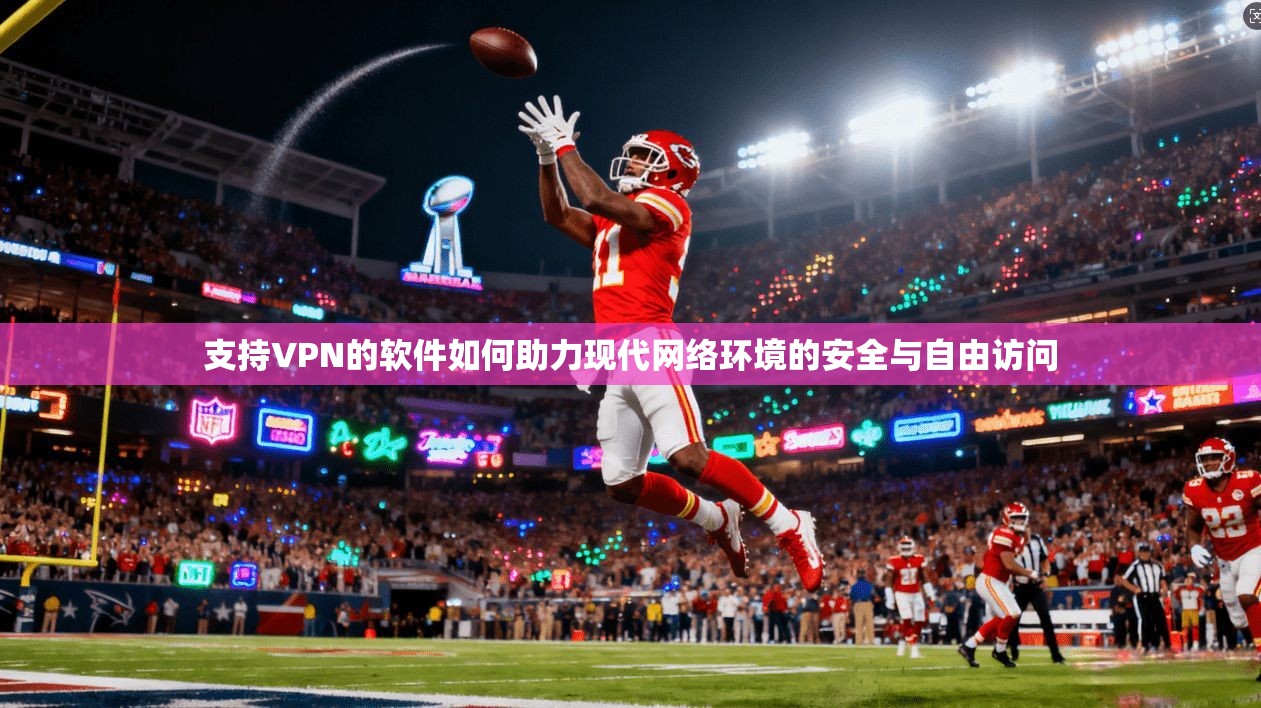 支持VPN的软件如何助力现代网络环境的安全与自由访问