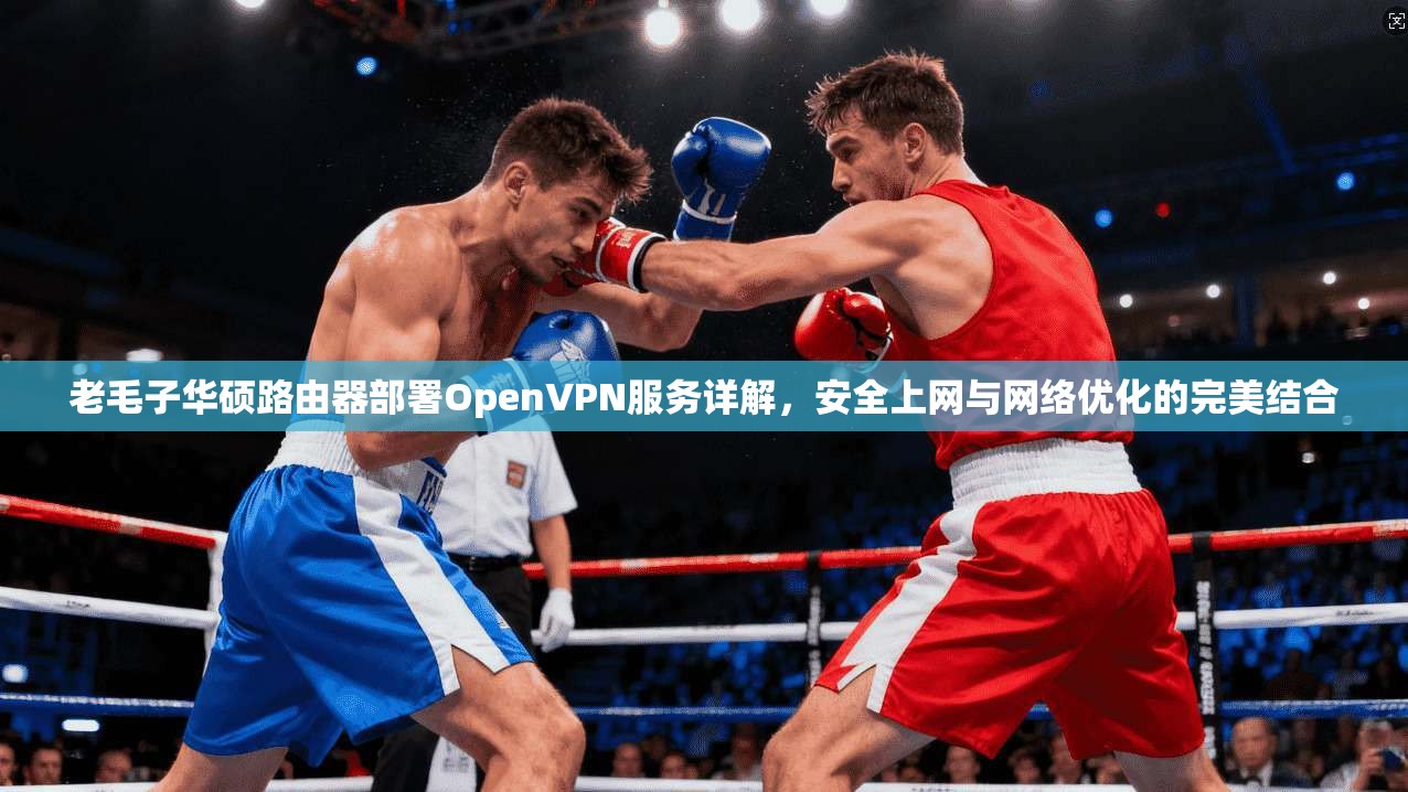 老毛子华硕路由器部署OpenVPN服务详解，安全上网与网络优化的完美结合