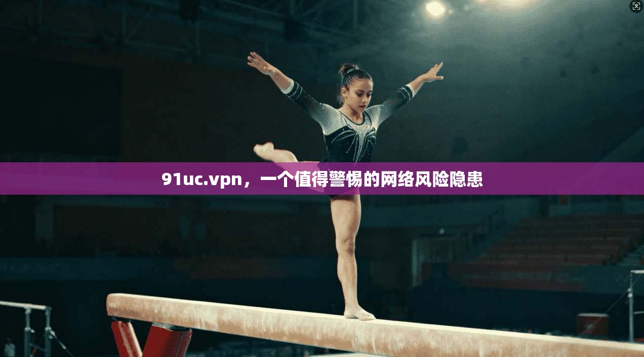 91uc.vpn，一个值得警惕的网络风险隐患