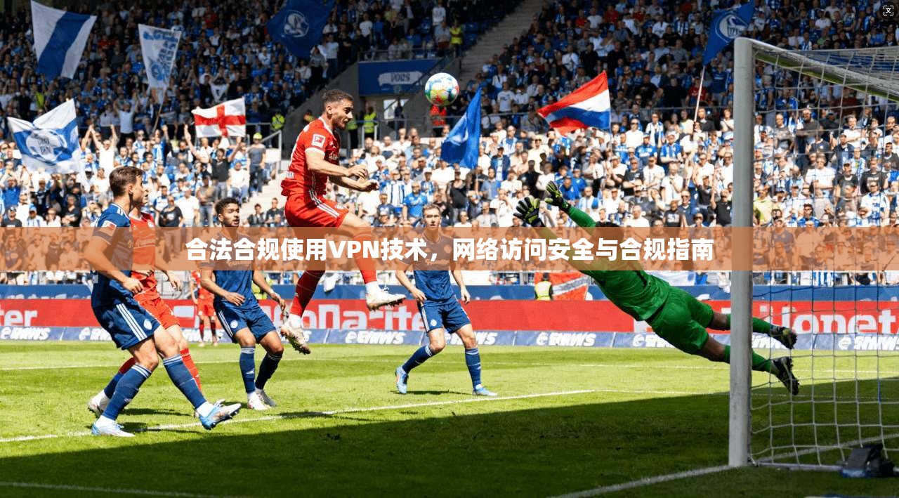 合法合规使用VPN技术，网络访问安全与合规指南