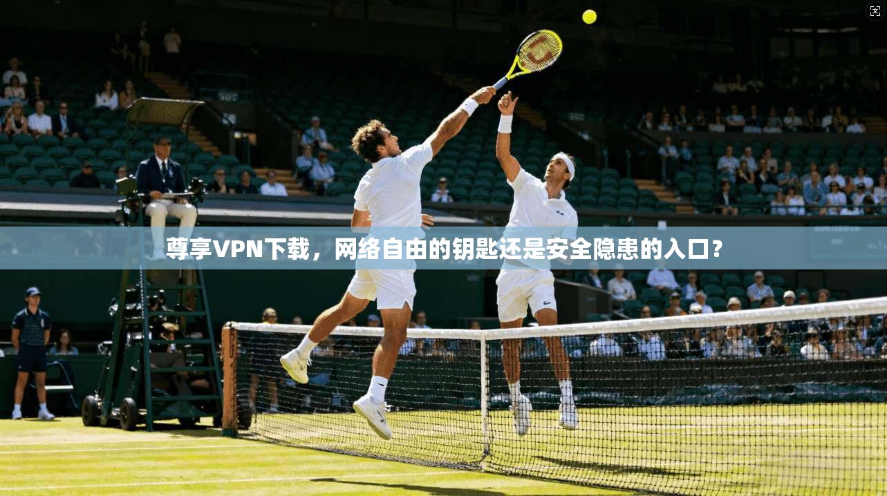 尊享VPN下载，网络自由的钥匙还是安全隐患的入口？
