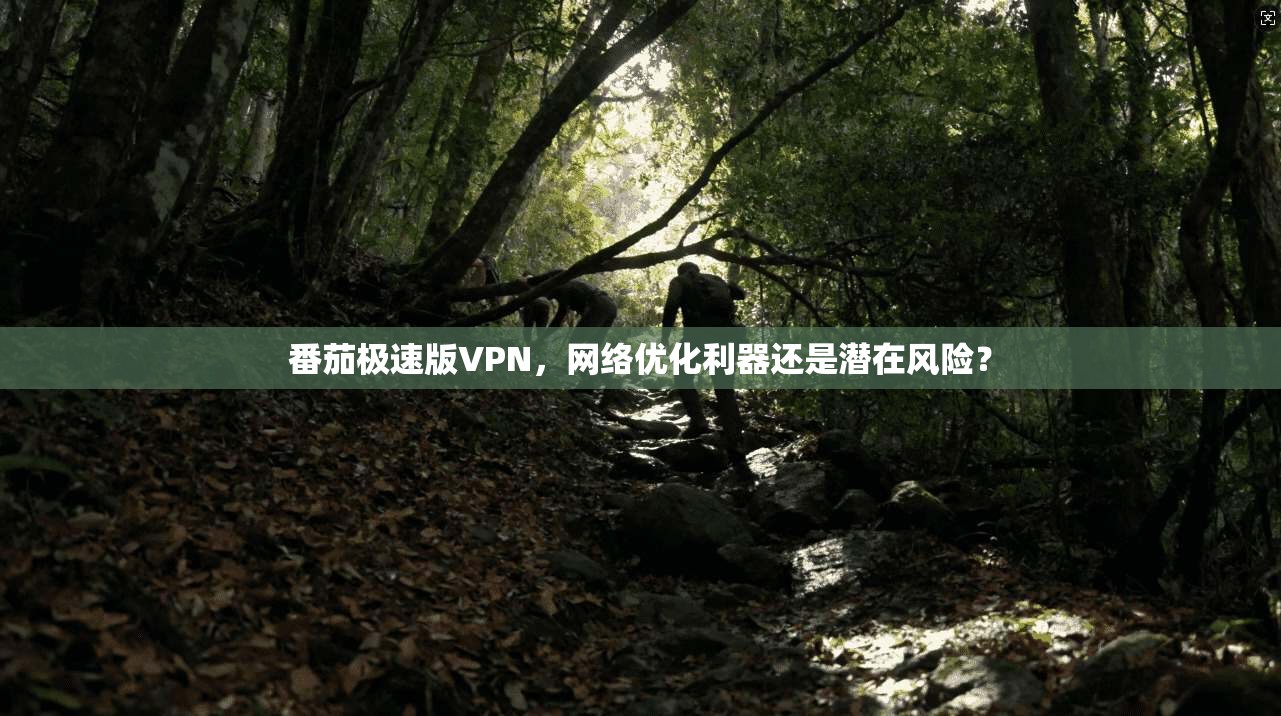 番茄极速版VPN，网络优化利器还是潜在风险？