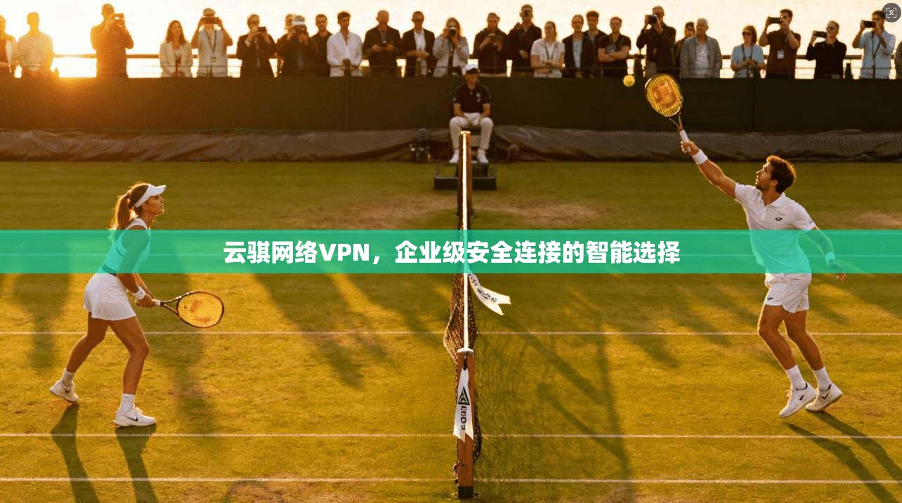 云骐网络VPN，企业级安全连接的智能选择