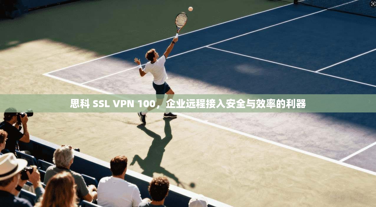 思科 SSL VPN 100，企业远程接入安全与效率的利器