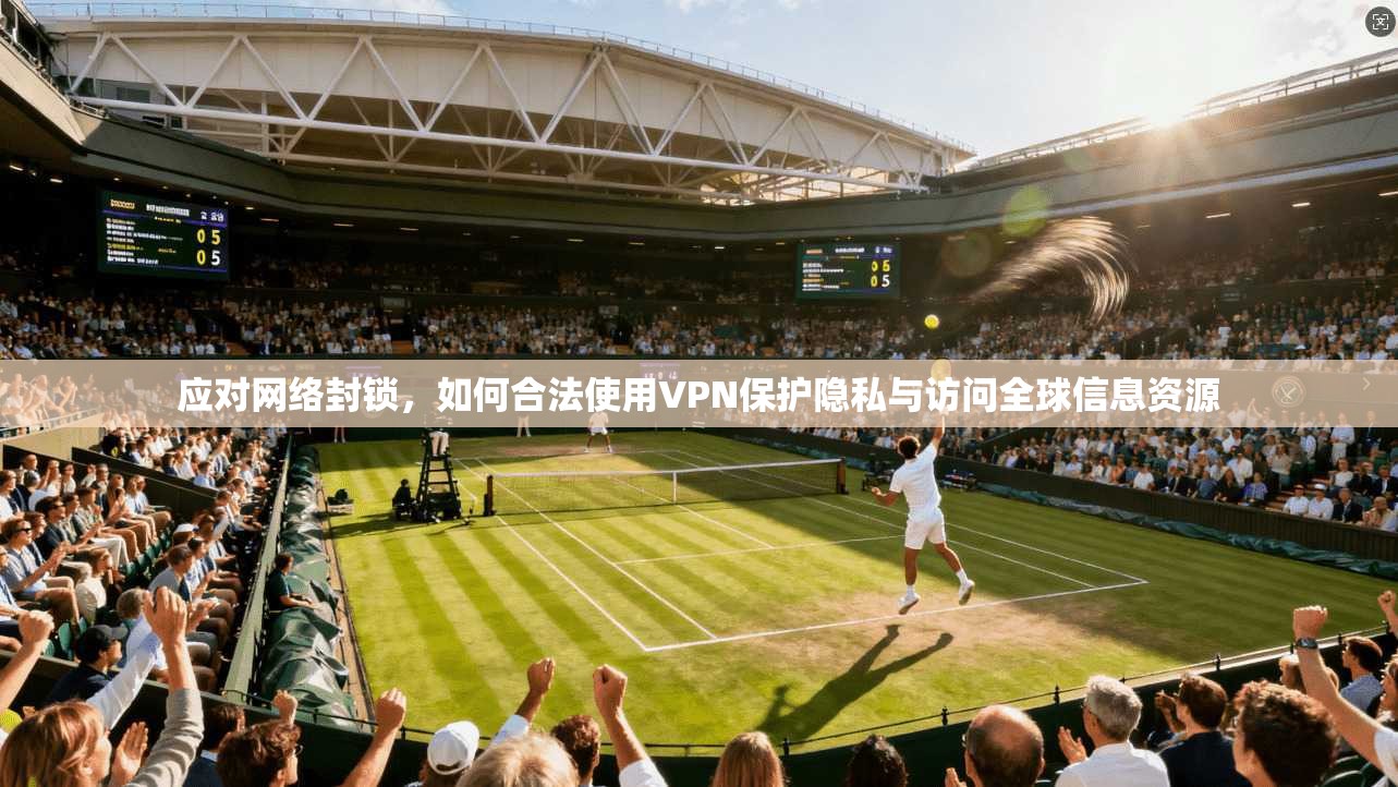 应对网络封锁，如何合法使用VPN保护隐私与访问全球信息资源