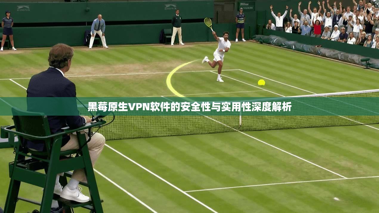 黑莓原生VPN软件的安全性与实用性深度解析