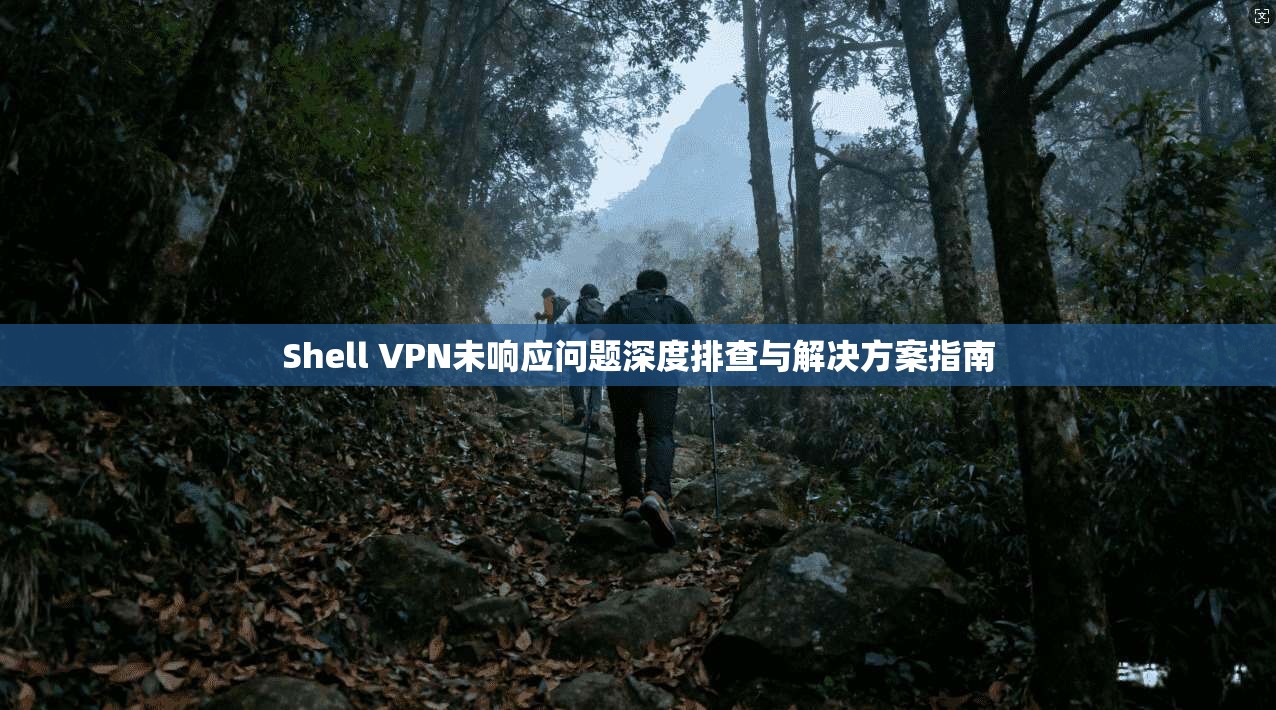 Shell VPN未响应问题深度排查与解决方案指南