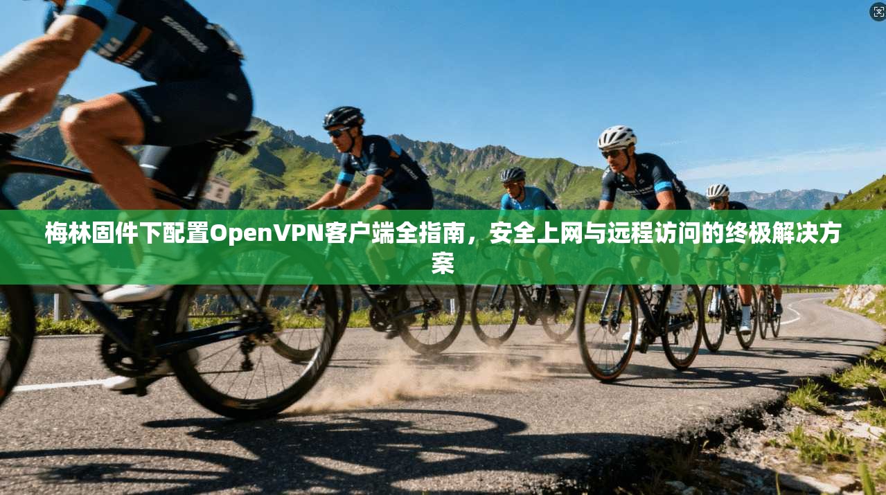 梅林固件下配置OpenVPN客户端全指南，安全上网与远程访问的终极解决方案