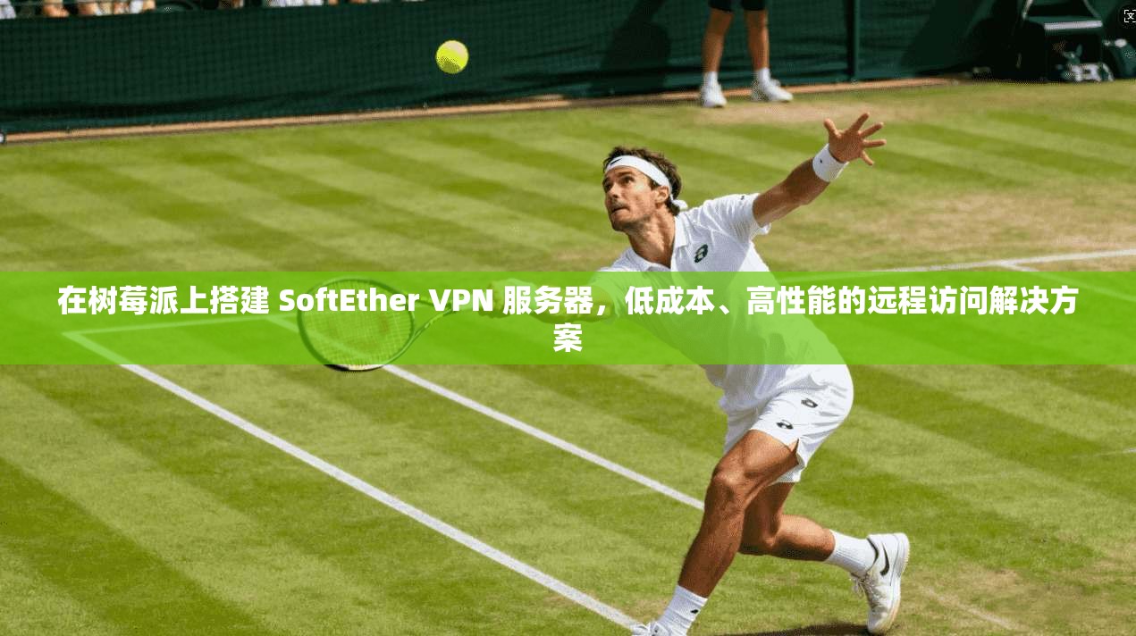 在树莓派上搭建 SoftEther VPN 服务器，低成本、高性能的远程访问解决方案