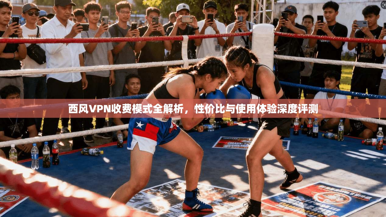 西风VPN收费模式全解析，性价比与使用体验深度评测