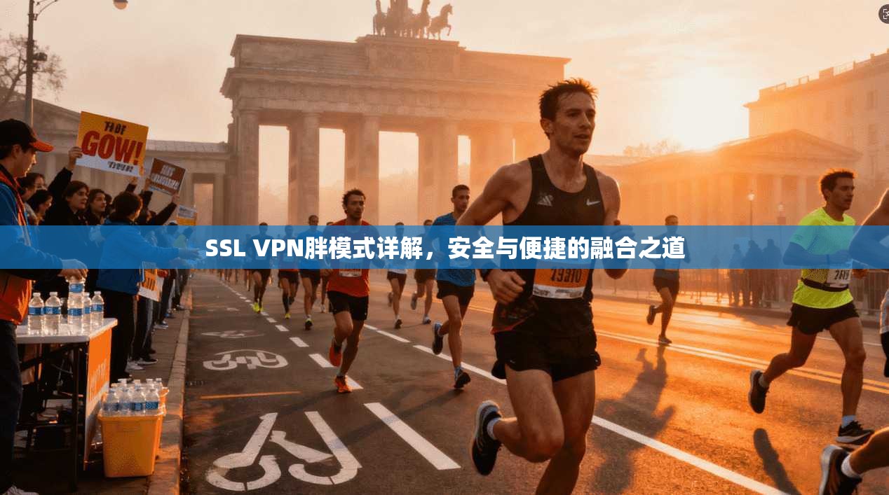 SSL VPN胖模式详解，安全与便捷的融合之道