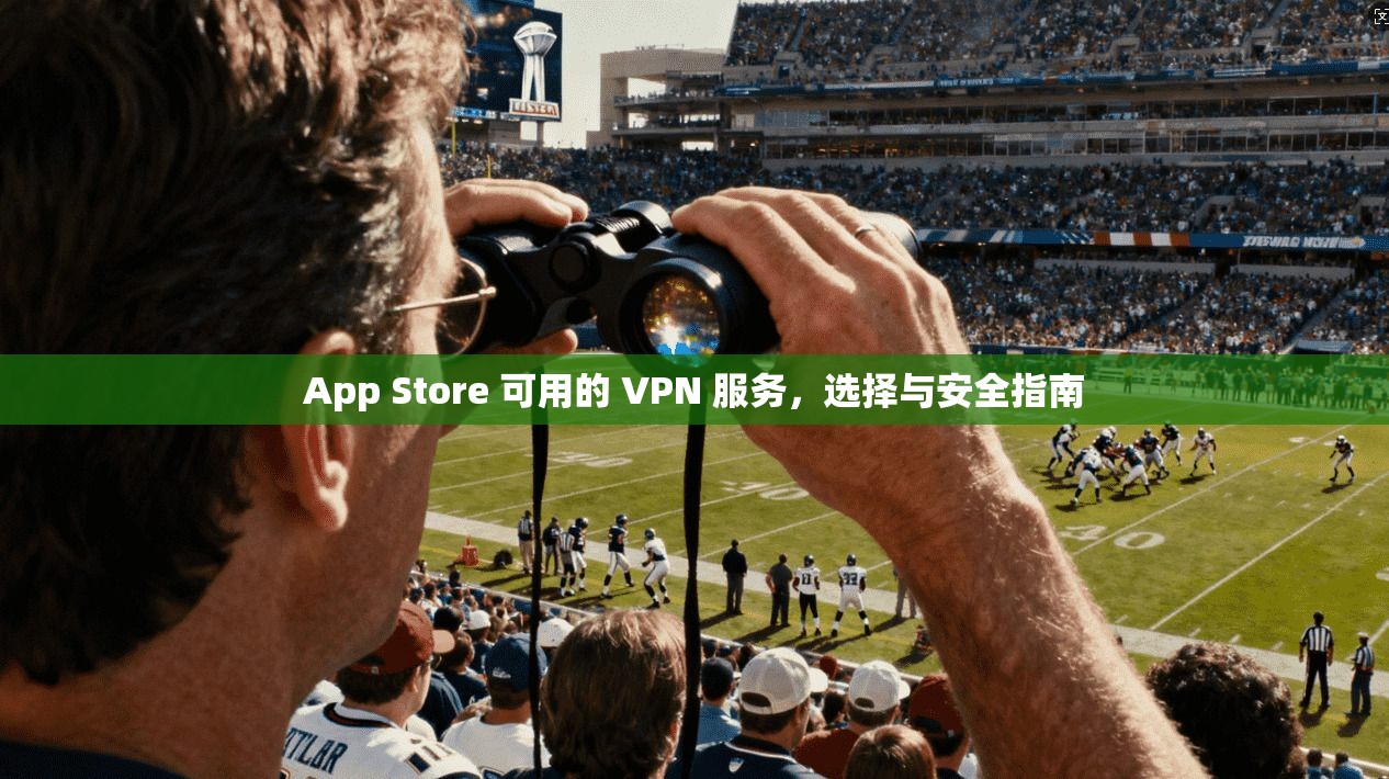 App Store 可用的 VPN 服务，选择与安全指南