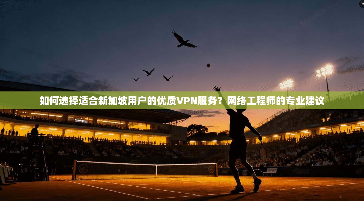 如何选择适合新加坡用户的优质VPN服务？网络工程师的专业建议