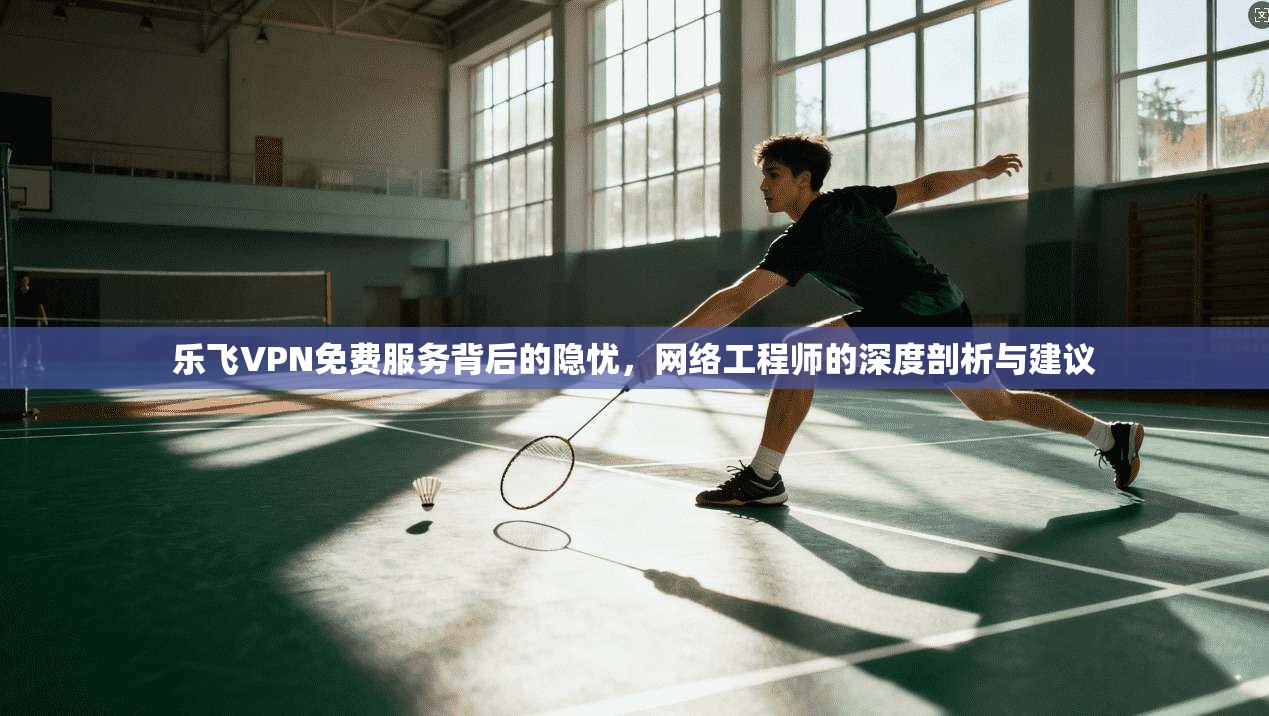 乐飞VPN免费服务背后的隐忧，网络工程师的深度剖析与建议