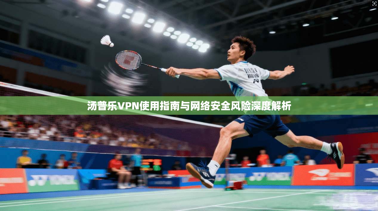 汤普乐VPN使用指南与网络安全风险深度解析