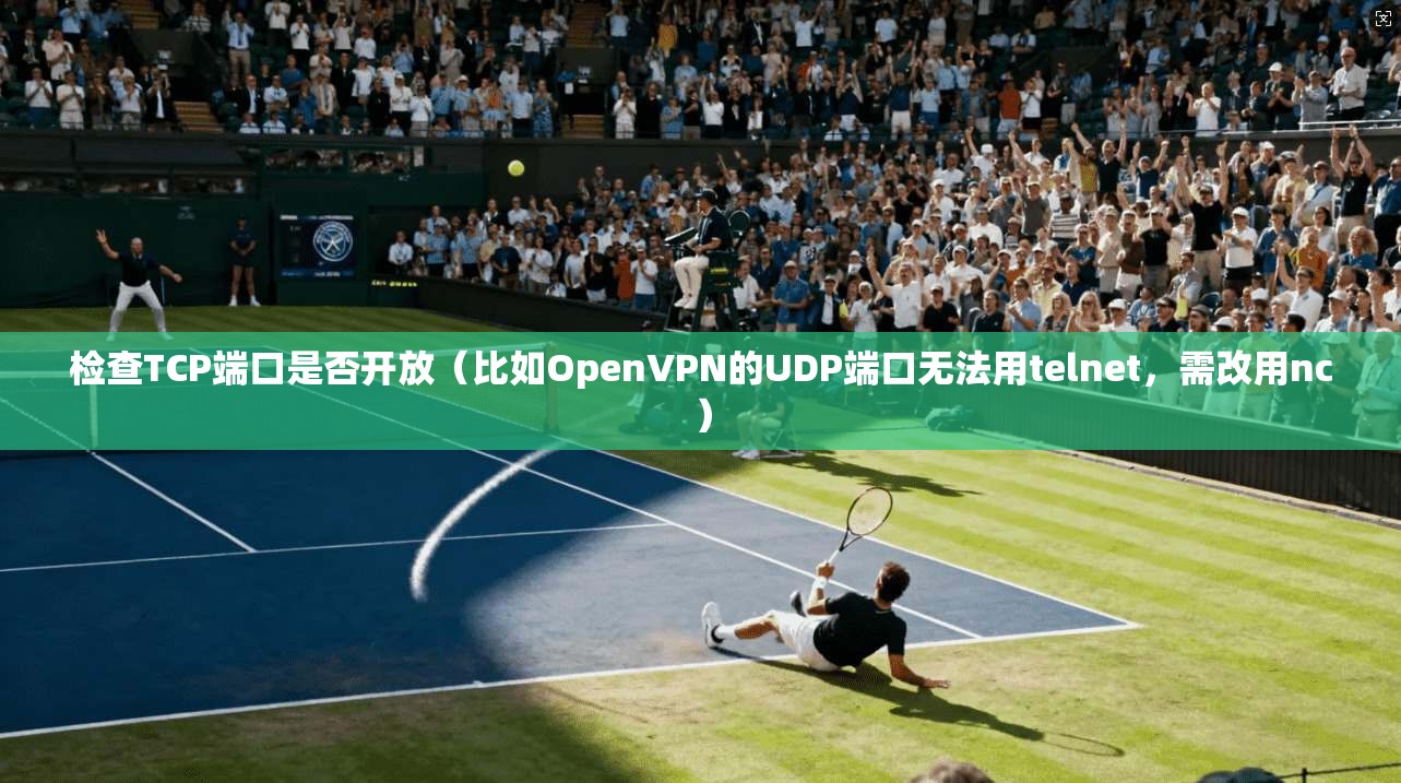检查TCP端口是否开放（比如OpenVPN的UDP端口无法用telnet，需改用nc）