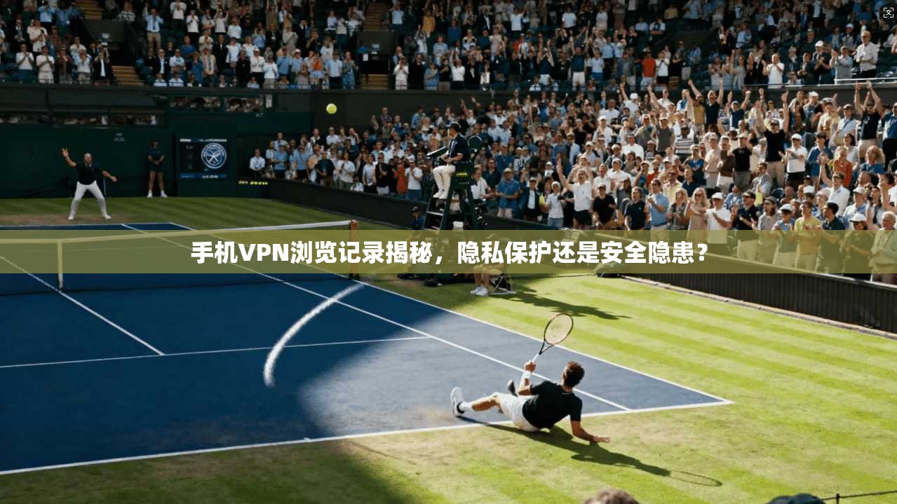 手机VPN浏览记录揭秘，隐私保护还是安全隐患？