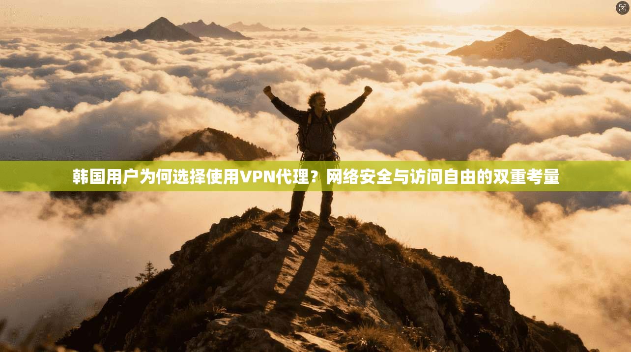 韩国用户为何选择使用VPN代理？网络安全与访问自由的双重考量