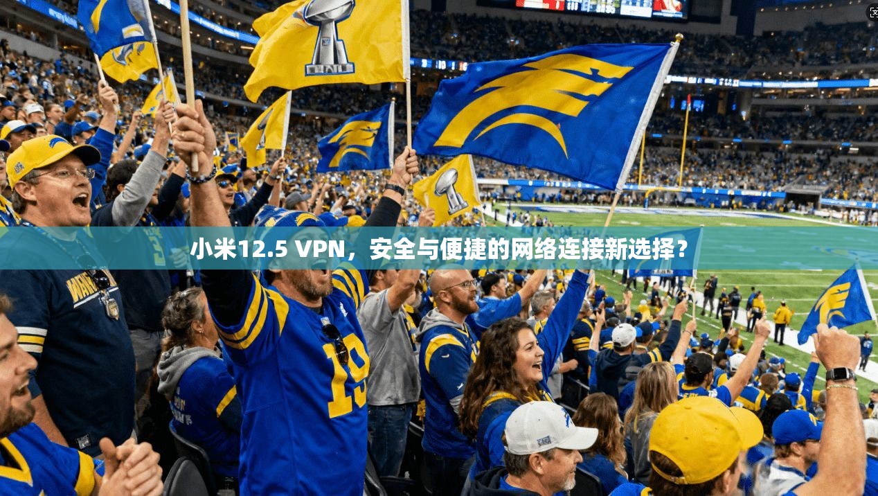小米12.5 VPN，安全与便捷的网络连接新选择？