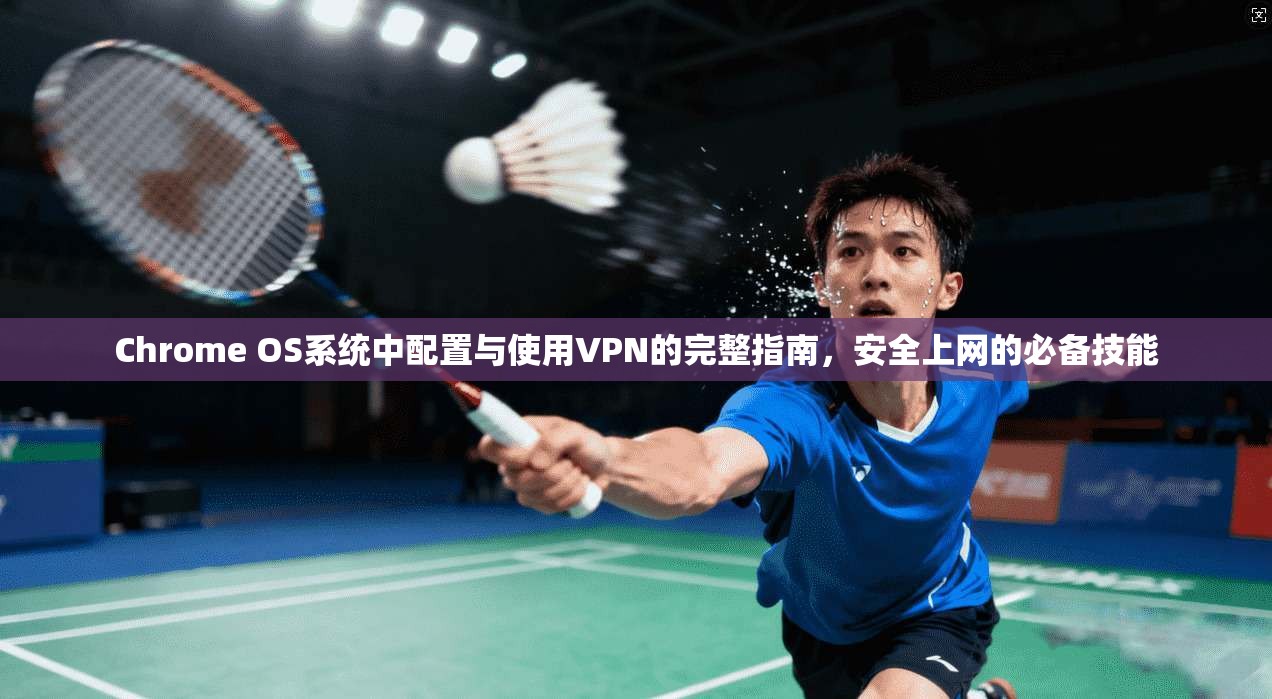 Chrome OS系统中配置与使用VPN的完整指南，安全上网的必备技能