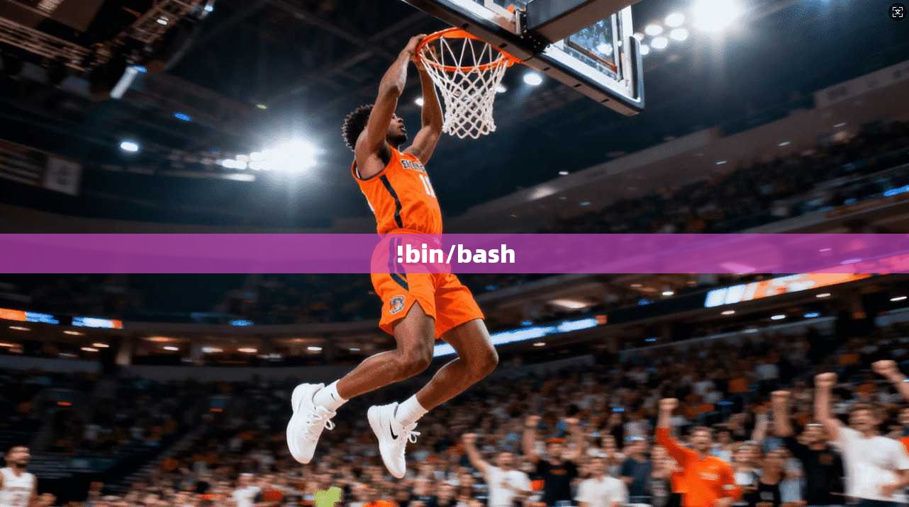 !bin/bash