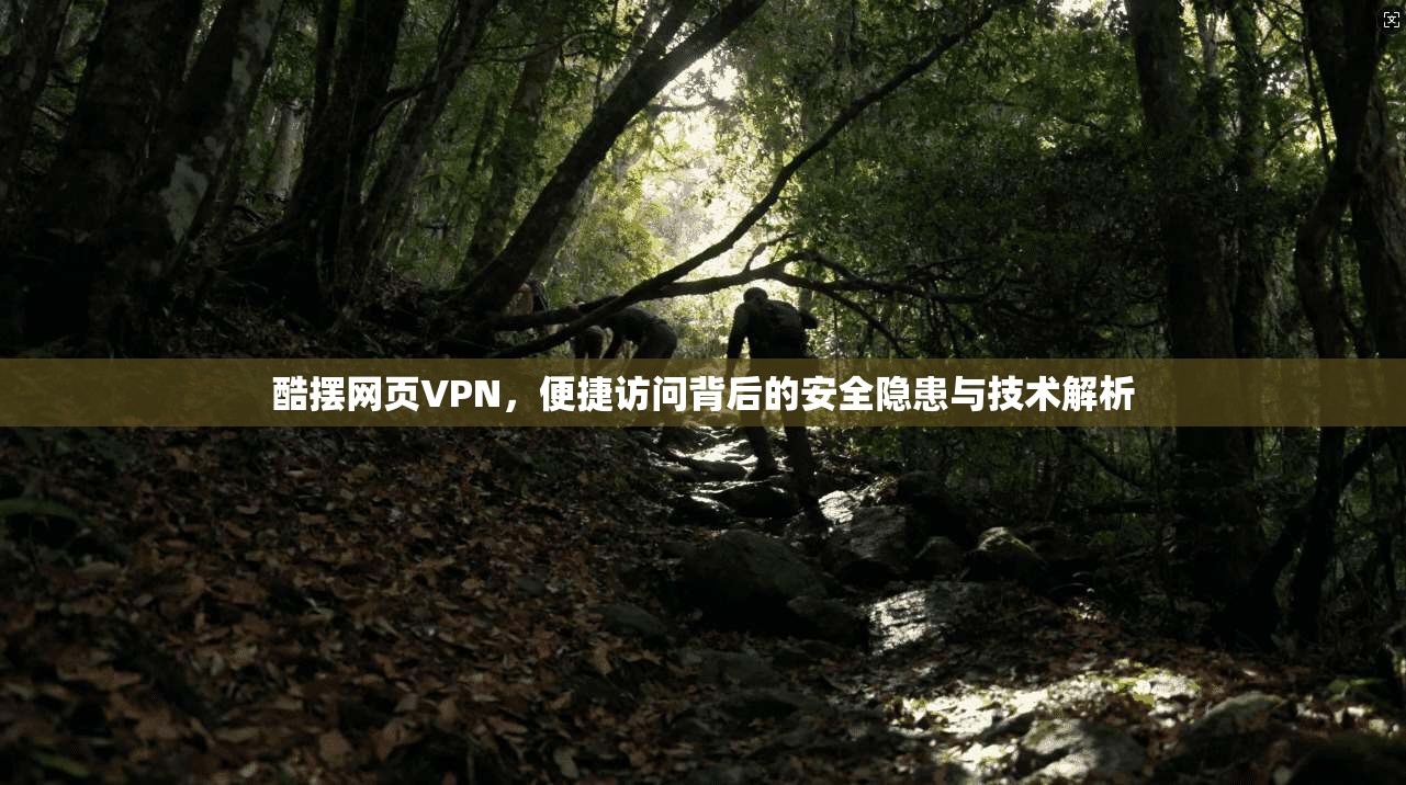 酷摆网页VPN，便捷访问背后的安全隐患与技术解析