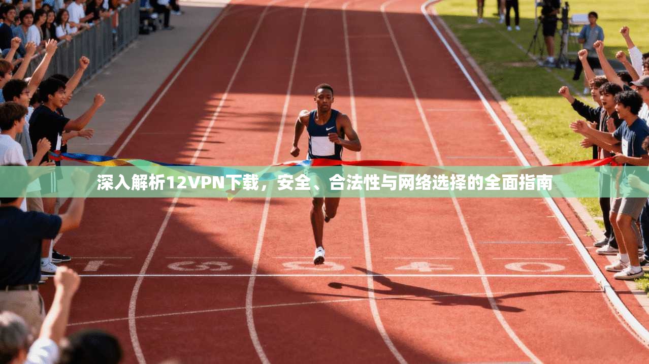 深入解析12VPN下载，安全、合法性与网络选择的全面指南