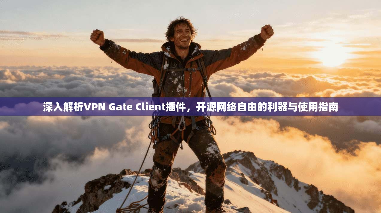 深入解析VPN Gate Client插件，开源网络自由的利器与使用指南