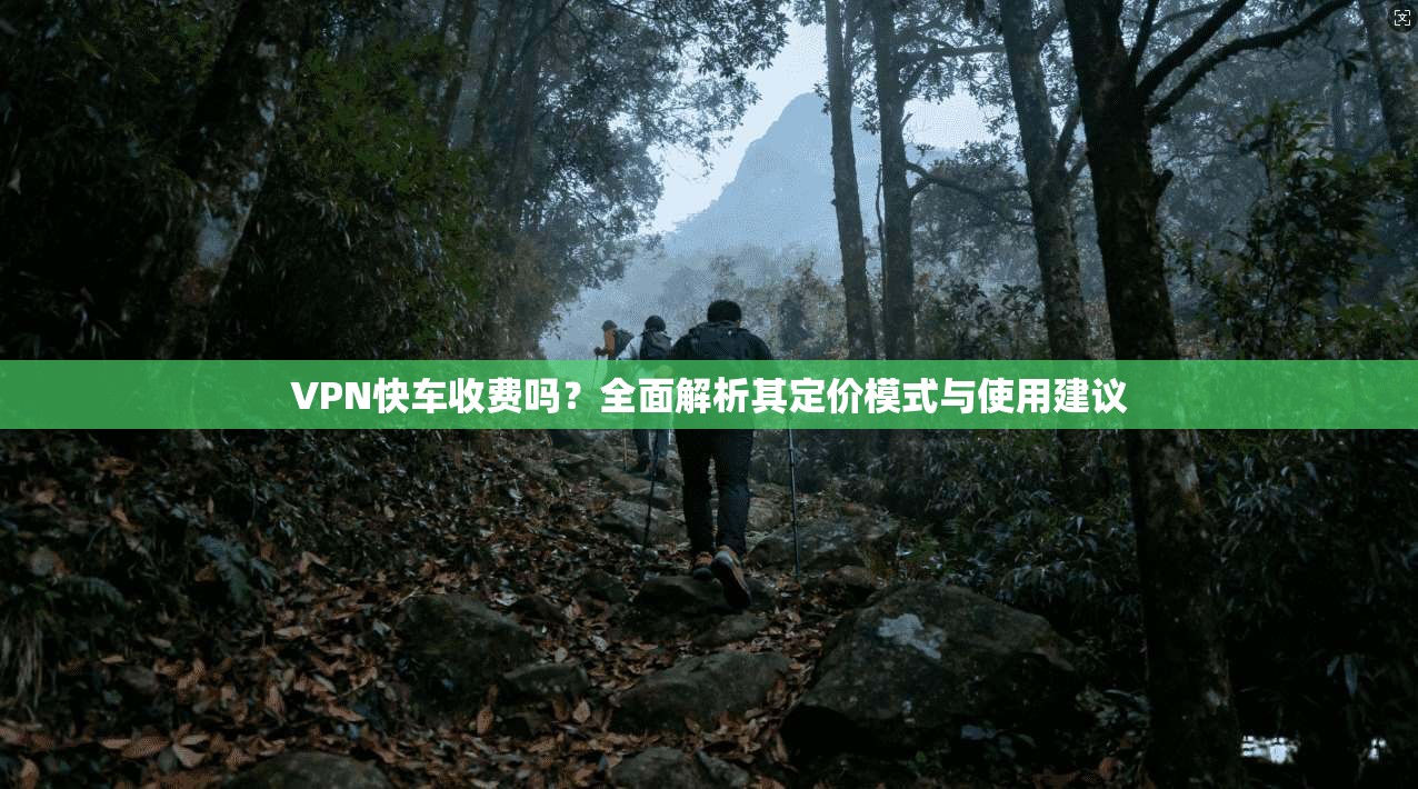 VPN快车收费吗？全面解析其定价模式与使用建议