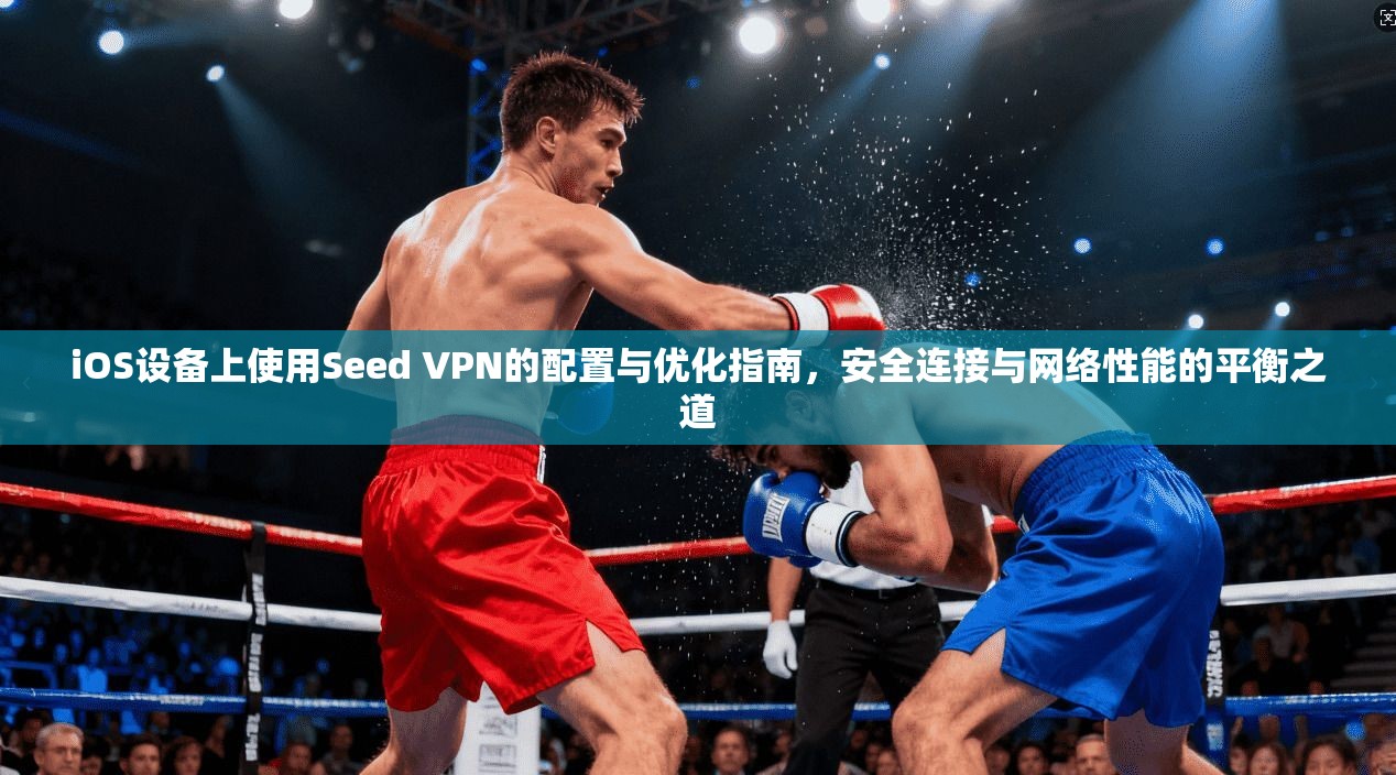 iOS设备上使用Seed VPN的配置与优化指南，安全连接与网络性能的平衡之道