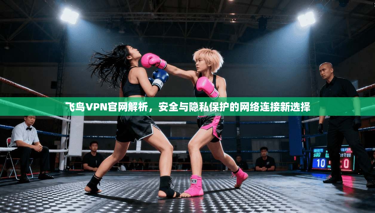 飞鸟VPN官网解析，安全与隐私保护的网络连接新选择