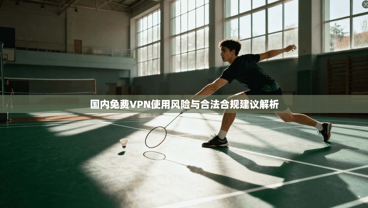 国内免费VPN使用风险与合法合规建议解析 国内免费VPN使用风险与合法合规建议解析