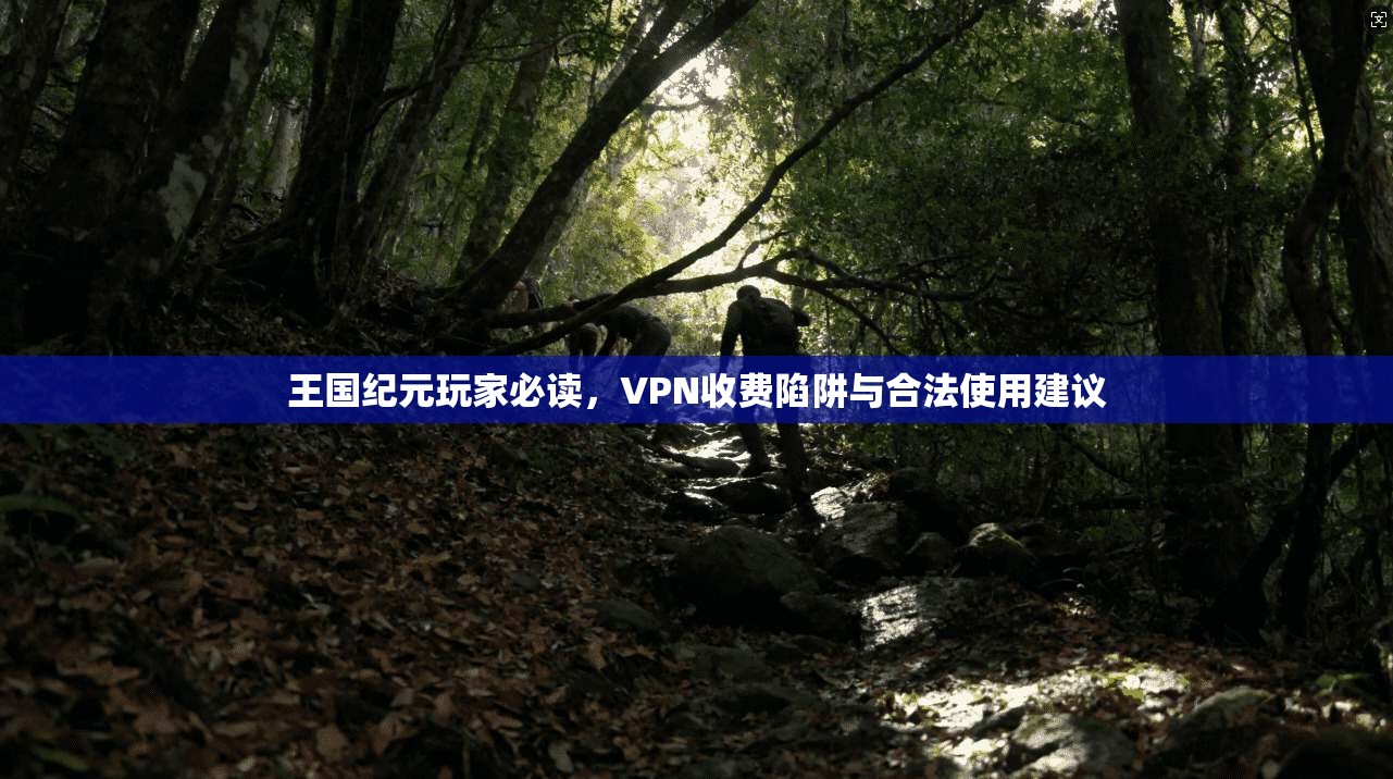 王国纪元玩家必读,VPN收费陷阱与合法使用建议