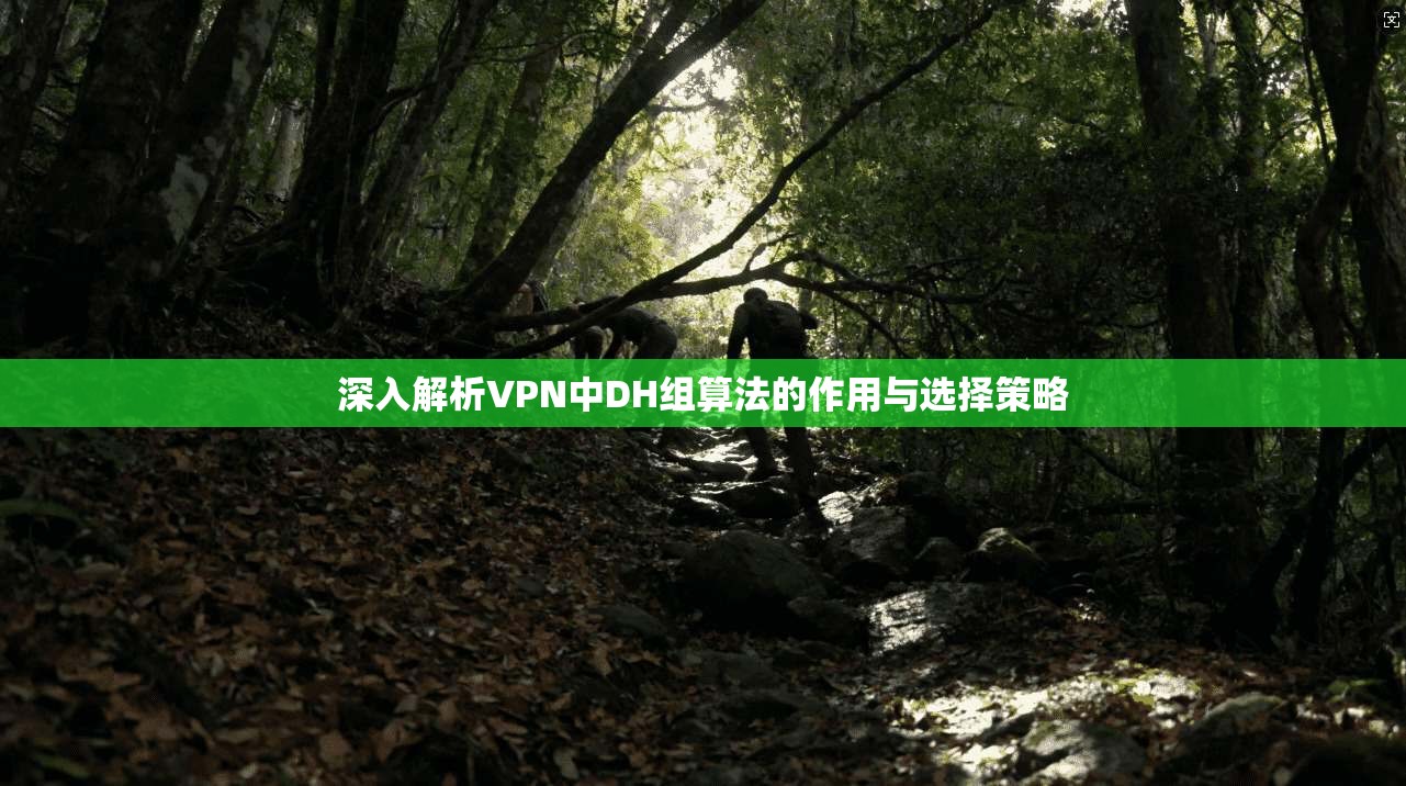 深入解析VPN中DH组算法的作用与选择策略