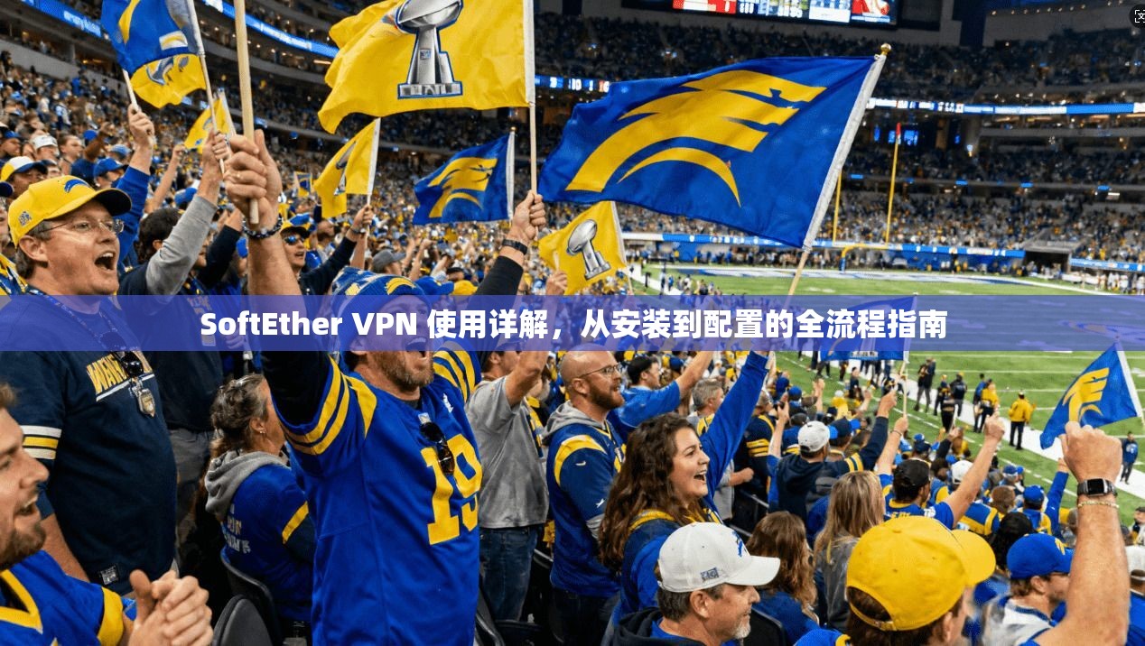 SoftEther VPN 使用详解，从安装到配置的全流程指南